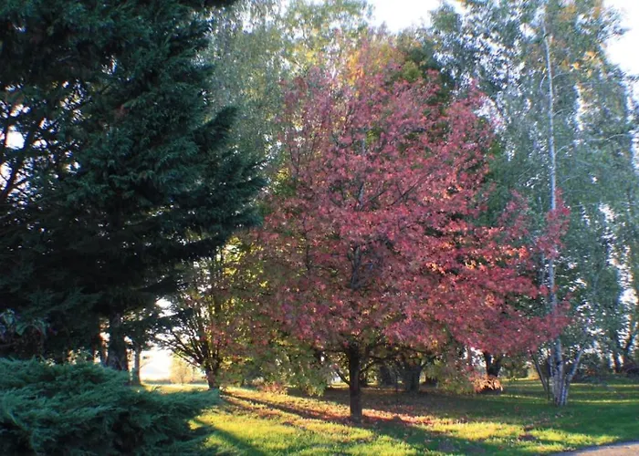 Gite La Luciole